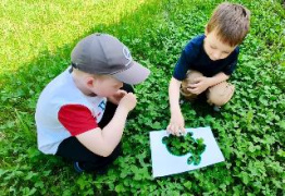  Нетрадиционный взгляд на природу 